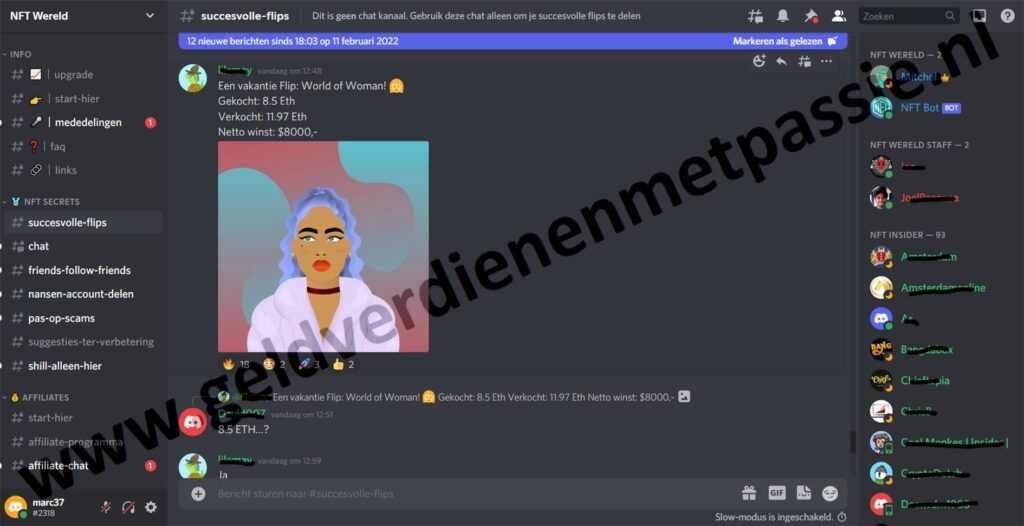 Op deze foto zie je Discord Community van NFT secrets
