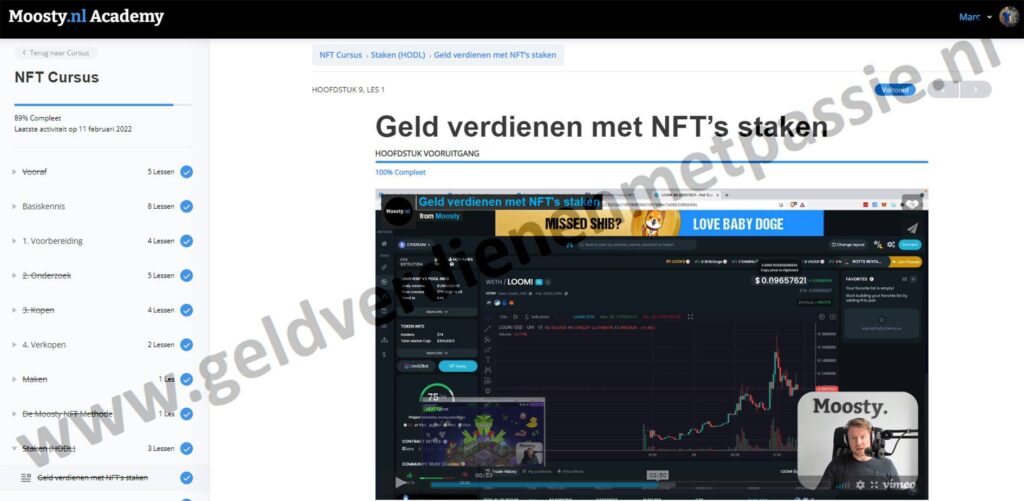 Op deze foto zie je Module 9: Staken(HODL) van Moosty's NFT cursus