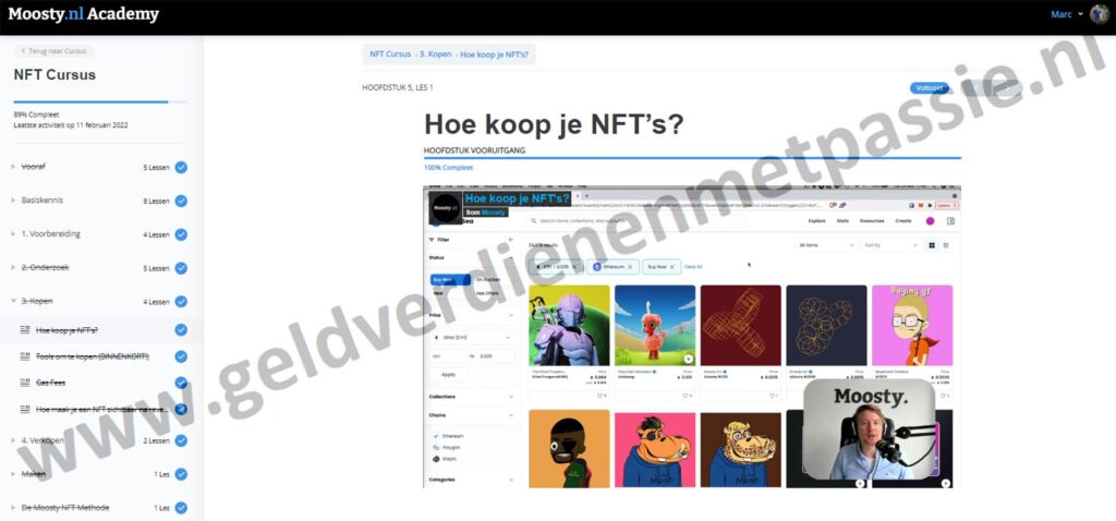 Op deze foto zie je #2. Moosty’s NFT Cursus van Maarten Oostland van mijn Beste NFT cursus