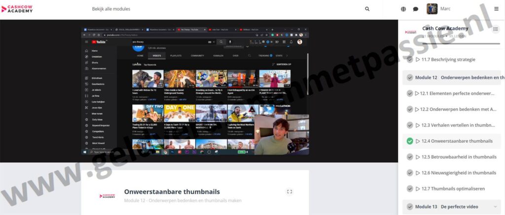 Op deze foto zie je Module 12: Onderwerpen bedenken en thumbnails maken van de cash cow academy van Jelline Brands