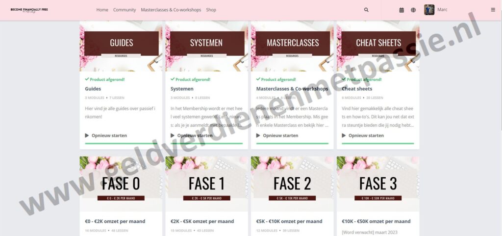 Op deze foto staat de #1: become financially free membership van Rowena Rousseau van  memberships over Geld Verdienen & Ondernemen
