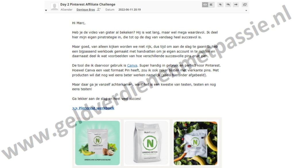 Op deze foto zie je de De mini-cursus De Pinterest Challenge van Danique Bras