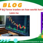 Wat-is-een-PIP-banner-geldverdienenmetpassie